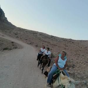 Meet your Posher, Joy